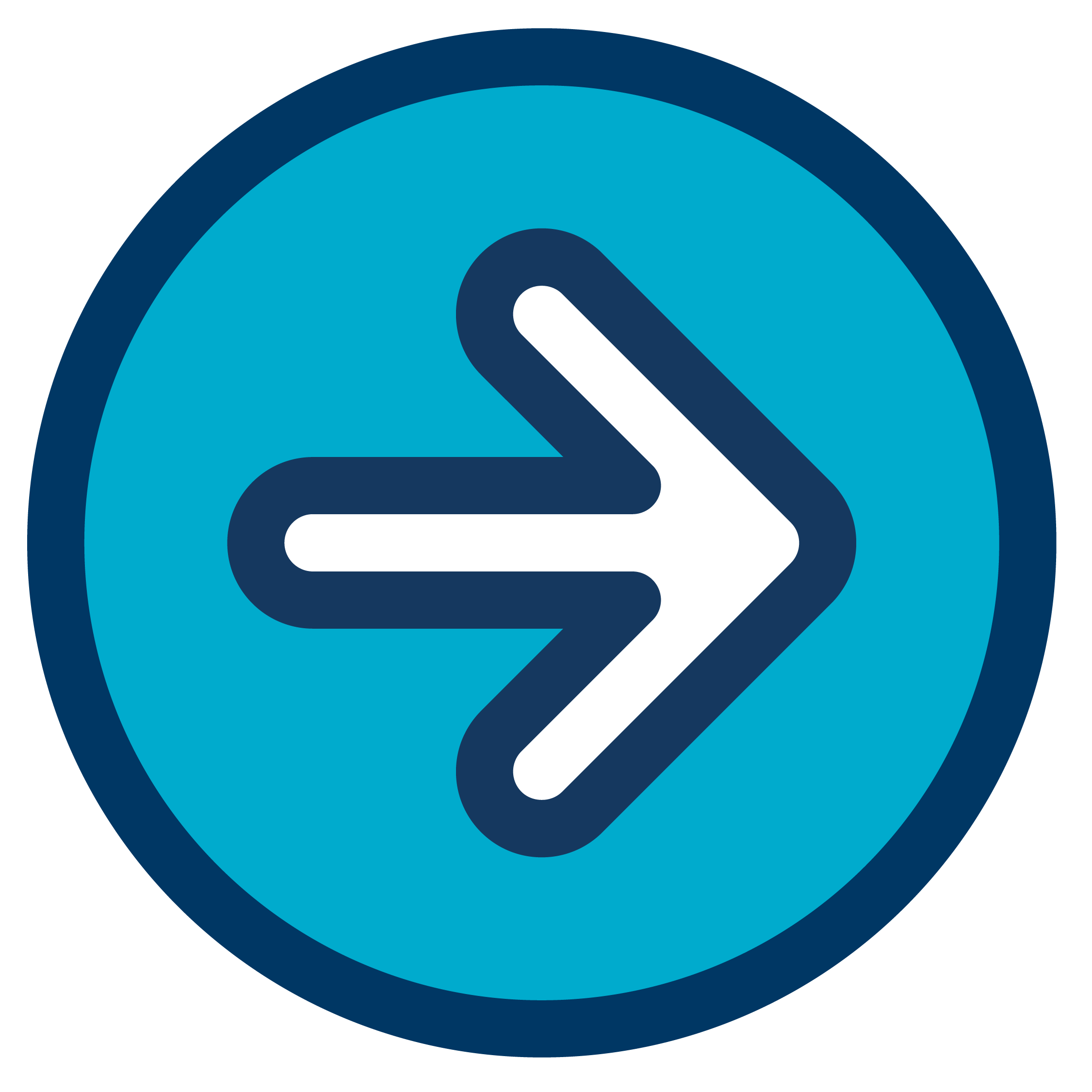 Next steps arrow icon